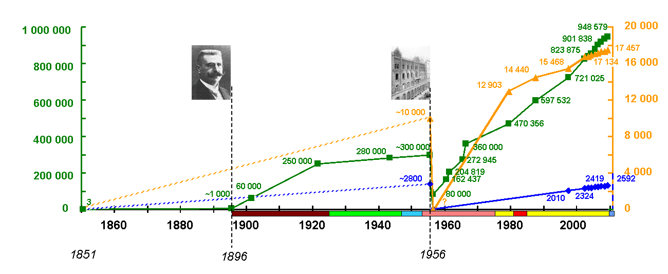 diptera-graph